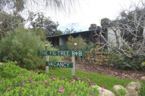 The Fig Tree B&B